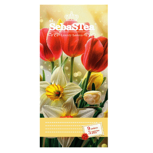 Sebas (�����) �������� � ��������-2 9 �������